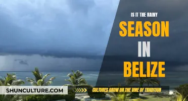 The Rainy Season in Belize: What to Expect and When