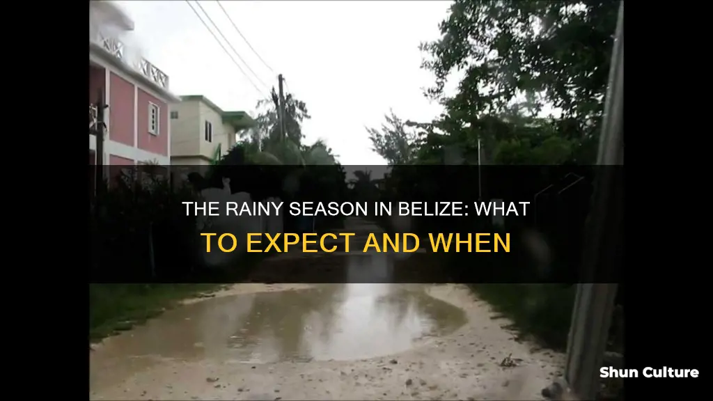 is it the rainy season in belize