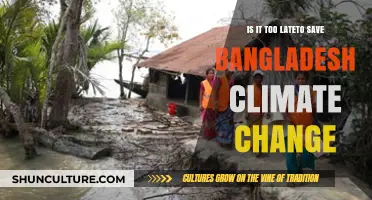 Can Bangladesh Still Survive the Climate Crisis? Urgent Action Needed