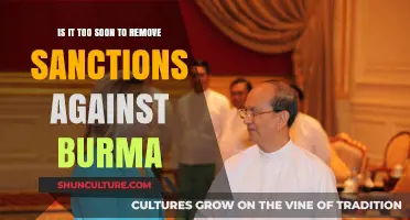 Sanctions Relief for Burma: A Premature Move?