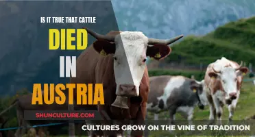 Cattle Deaths in Austria: Fact or Fiction?