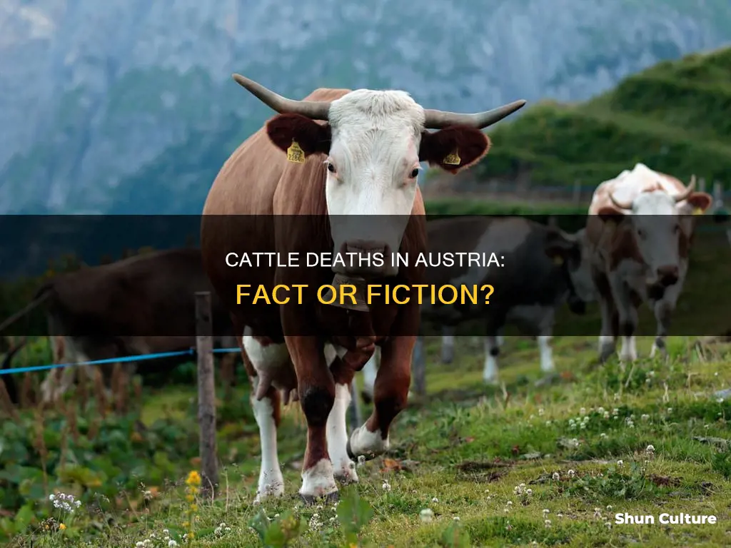 is it true that cattle died in austria