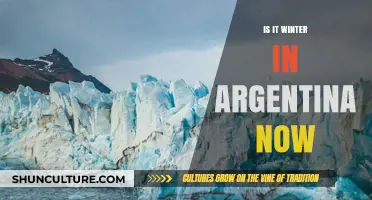 Exploring Argentina's Seasons: Is It Winter Down Under?
