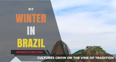 Is It Winter in Brazil? Understanding the Country's Unique Seasons