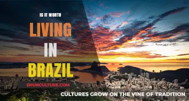 Is Brazil the Right Choice for Your Next Move?