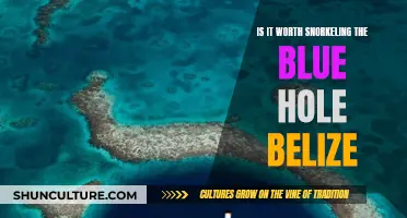 The Blue Hole Belize: A Snorkeler's Paradise?