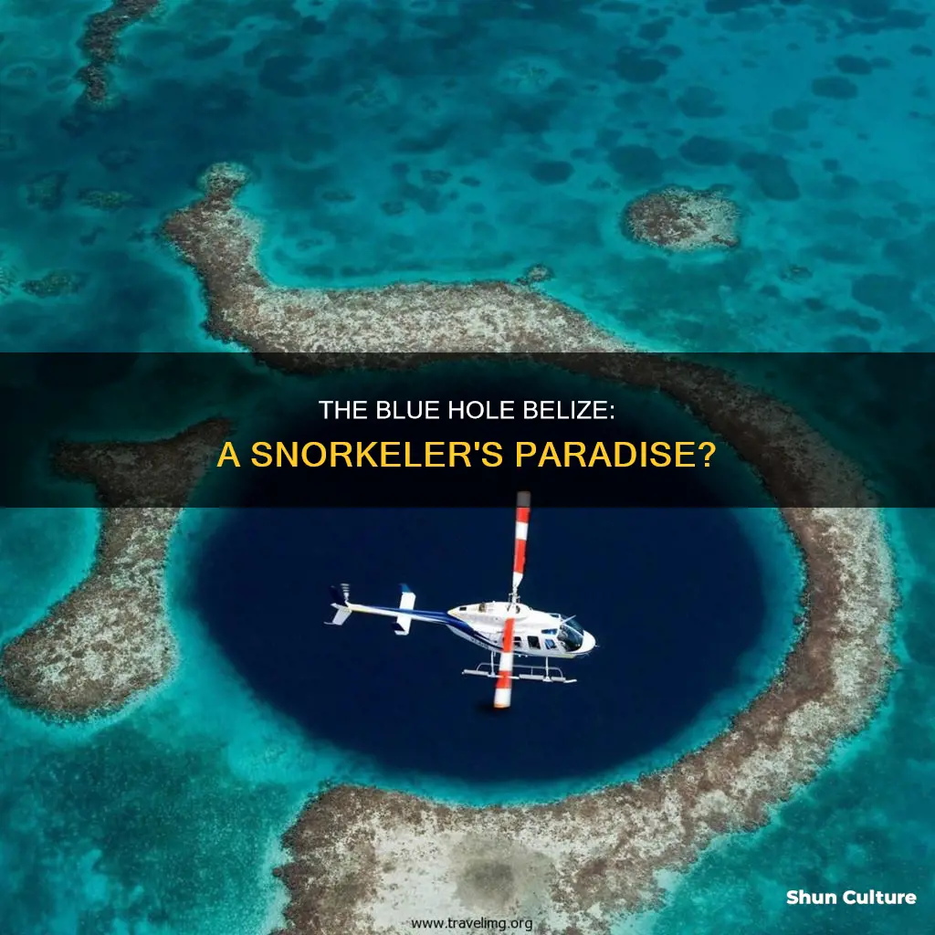 is it worth snorkeling the blue hole belize