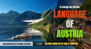 Exploring Austria's Official Language: Italian Influence and Legacy