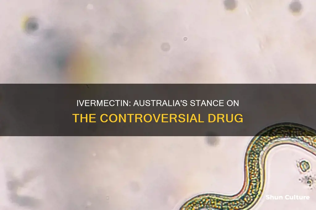 is ivermectin illegal in australia