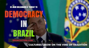 Bolsonaro's Impact: A Threat to Brazil's Democracy?