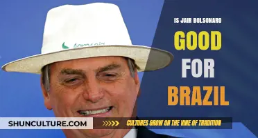 Is Bolsonaro Beneficial? Analyzing Brazil's Leadership and Impact