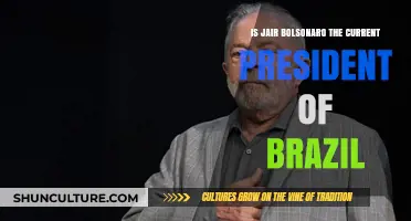 Is Jair Bolsonaro Still Brazil's President? Current Leadership Explained