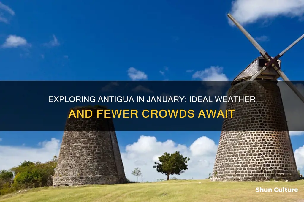 is january a good time to visit antigua