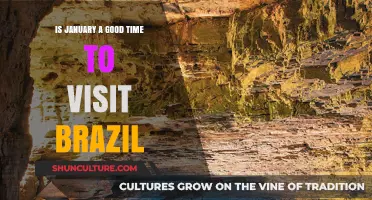 Exploring Brazil in January: Ideal Weather, Festivals, and Travel Tips