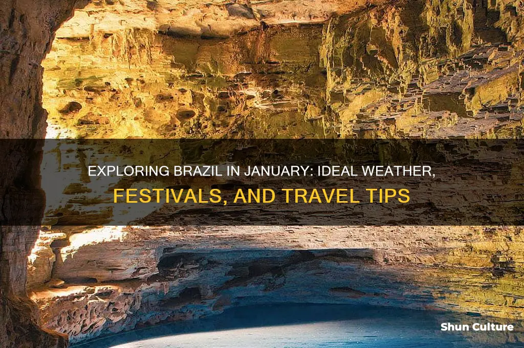 is january a good time to visit brazil