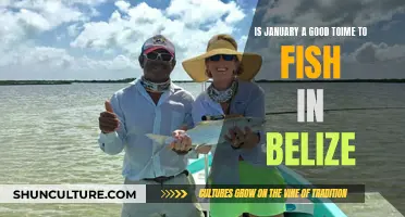 Belize's January Fishing: A Quiet Season for Abundant Catches