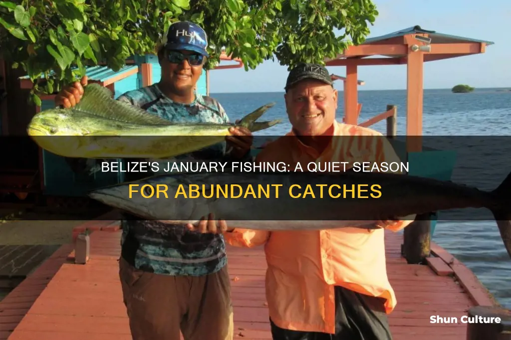 is january a good toime to fish in belize