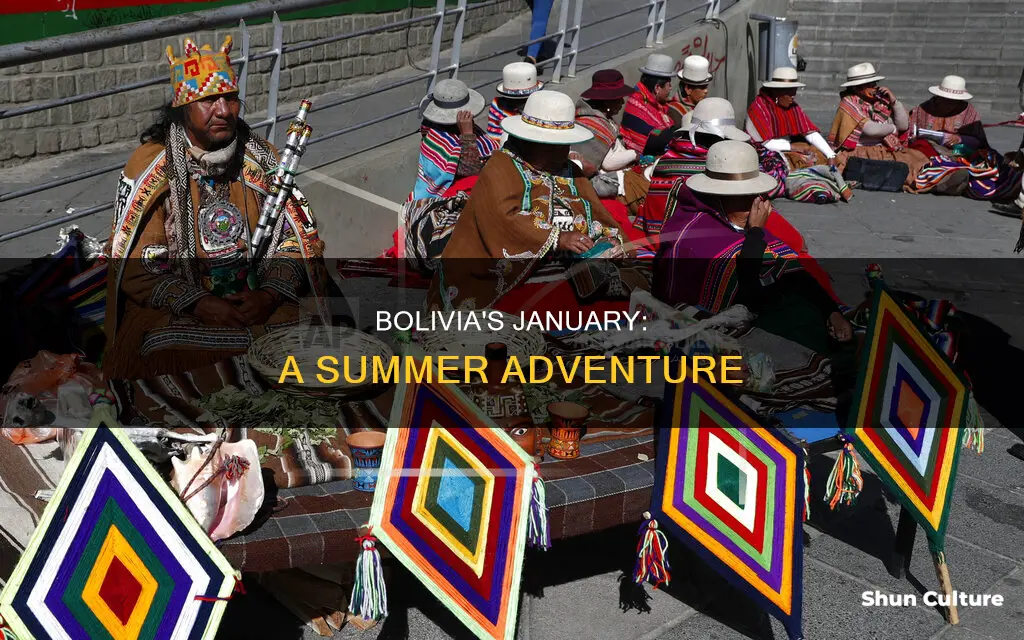 is january in summer in bolivia