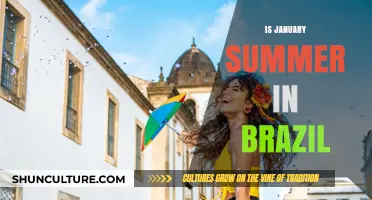 Is January Summer in Brazil? Exploring Seasons in the Southern Hemisphere