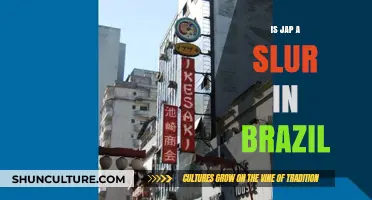 Is 'Jap' a Slur in Brazil? Exploring Language and Offense