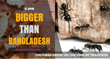 Japan vs. Bangladesh: Comparing Land Size and Population Differences