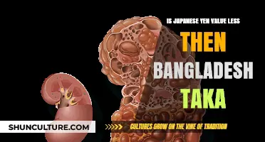 Is the Japanese Yen Really Worth Less Than the Bangladesh Taka?