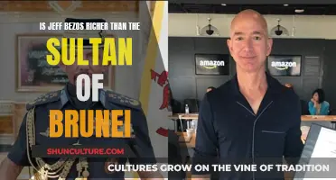 Wealth Comparison: Sultan of Brunei vs Jeff Bezos