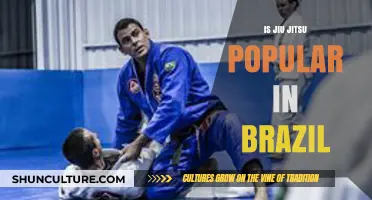 Exploring Jiu Jitsu's Cultural Impact and Popularity in Brazil