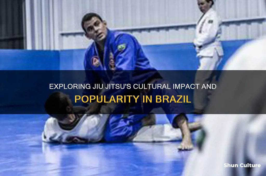 is jiu jitsu popular in brazil