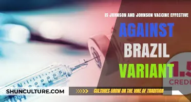 Johnson & Johnson Vaccine: Efficacy Against Brazil's P.1 Variant Explained