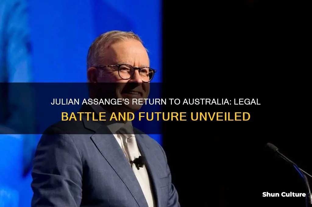 is julian assange going home to australia