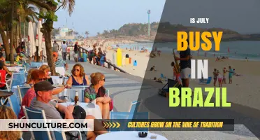 Is July a Busy Month in Brazil? Exploring Tourism and Events