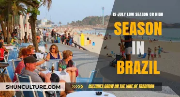 Is July High or Low Season in Brazil? Travel Insights
