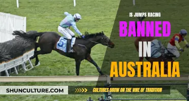 Jumps Racing: Australia's Ban Debate