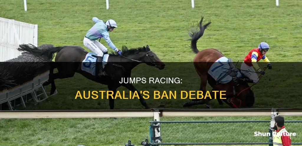 is jumps racing banned in australia