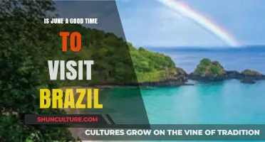 Exploring Brazil in June: Ideal Weather, Festivals, and Travel Tips