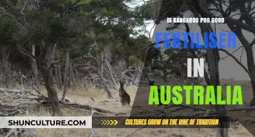 Kangaroo Poo: Australia's Natural Fertilizer Superpower?