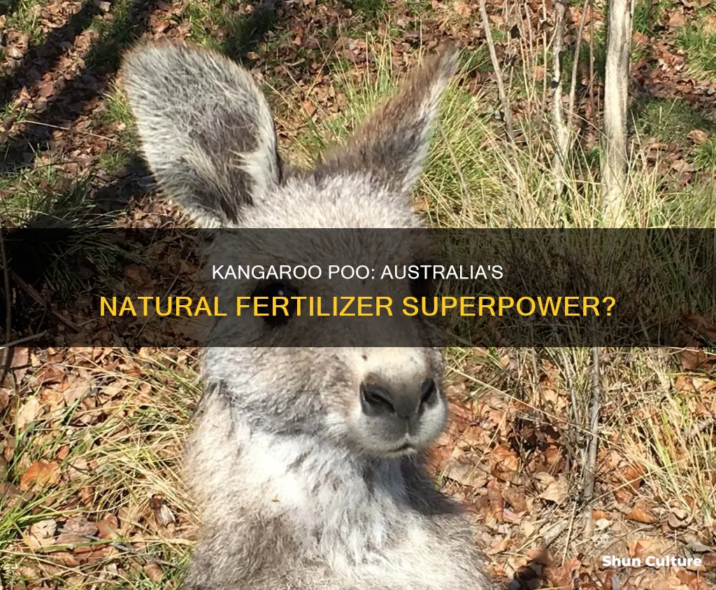 is kangaroo poo good fertiliser in australia