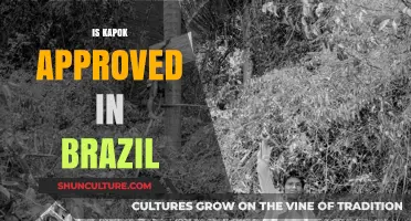 Is Kapok Approved in Brazil? Understanding Its Legal and Environmental Status