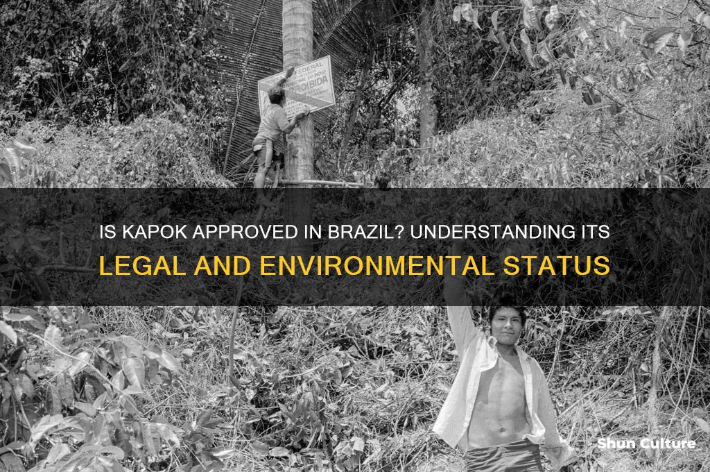 is kapok approved in brazil