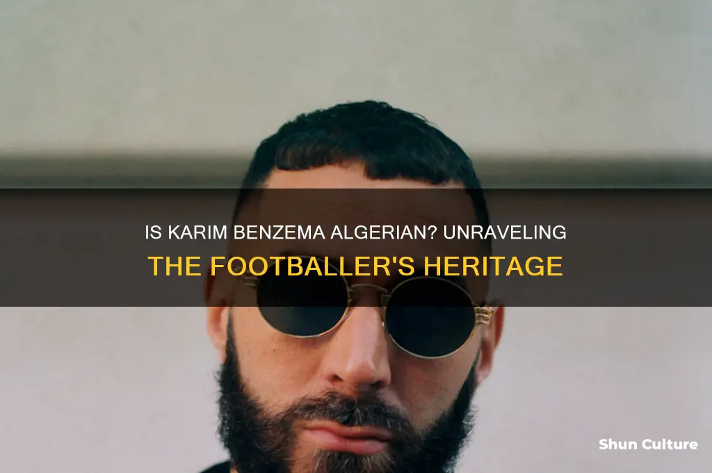 is karim benzema algerian