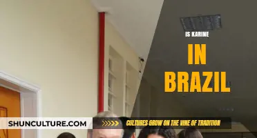 Is Karine in Brazil? Unraveling the Mystery of Her Whereabouts
