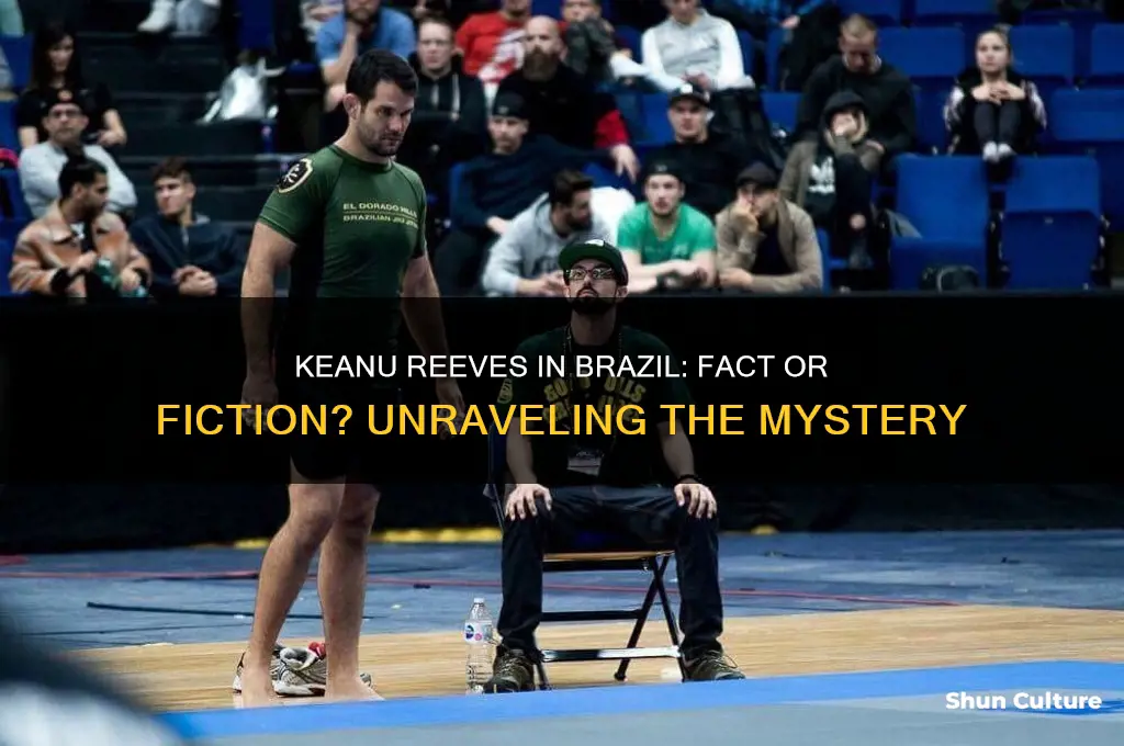 is keanu reeves in brazil