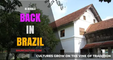 Kerala's Return to Brazil: Exploring Cultural Connections and Revival