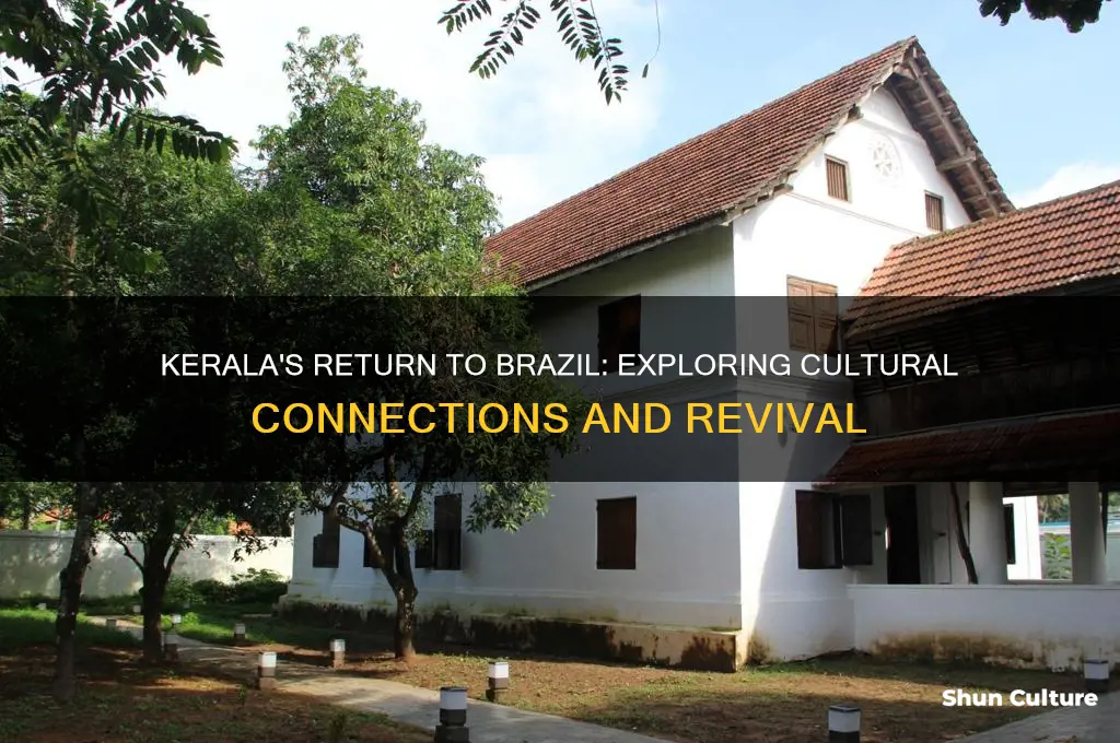 is kerala back in brazil