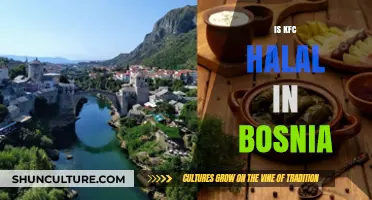 Is KFC Halal in Bosnia? Exploring the Menu and Certification