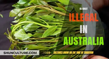 Khat in Australia: What's the Legal Status?