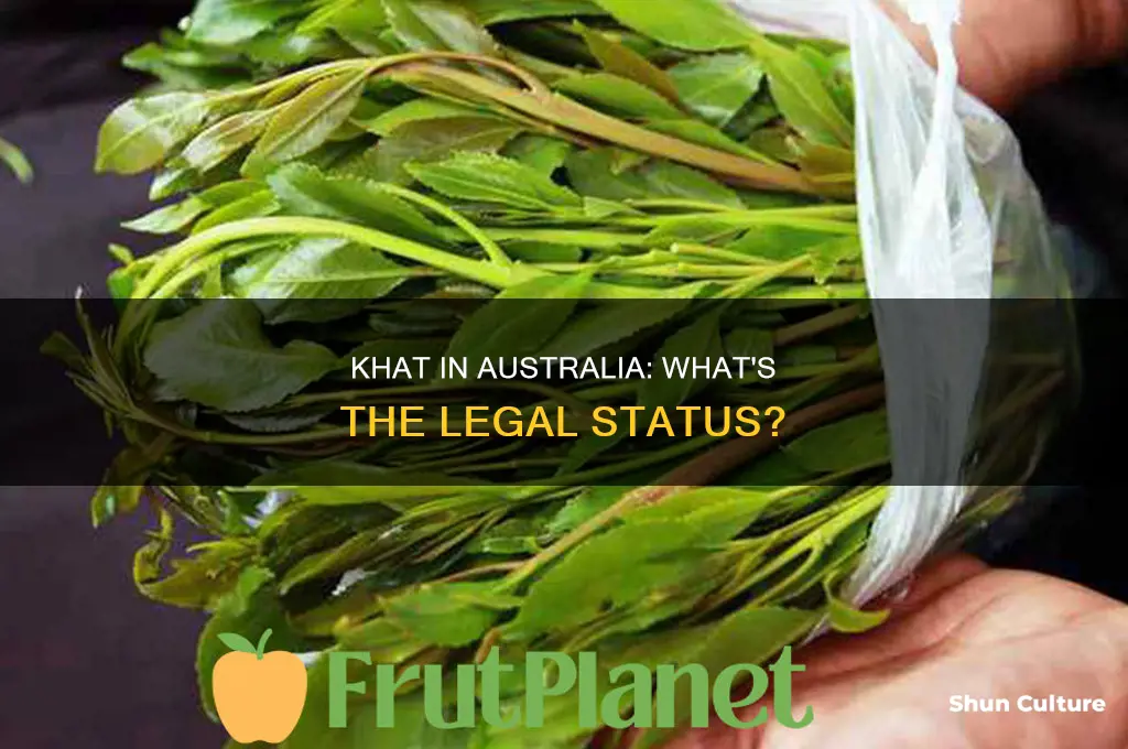 is khat illegal in australia