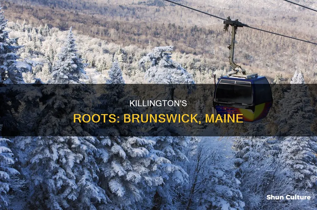 is killington from brunswick maine