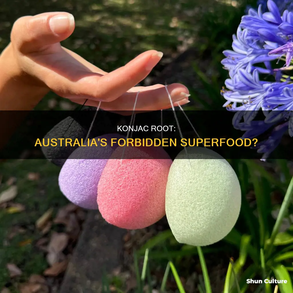 is konjac root banned in australia